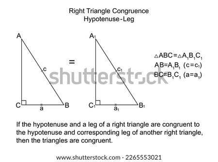 Right Triangle Congruence Hypotenuse-Leg. Two equal triangles by hypotenuse and leg. Isolated on the white background. Vector.