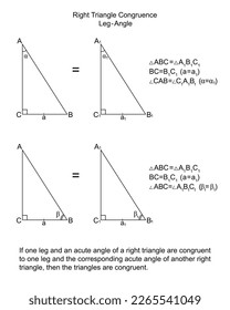Right Triangle Congruence Leg-Angle. Two congruent triangles by  leg and acute angle. Isolated on the white background. Vector.