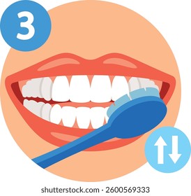 Right way of brush teeth