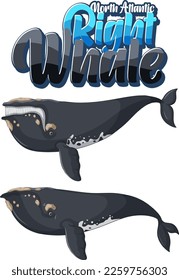 Right whale cartoon character in different poses illustration