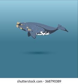  Right Whale into the sea / vector illustration / icon / 