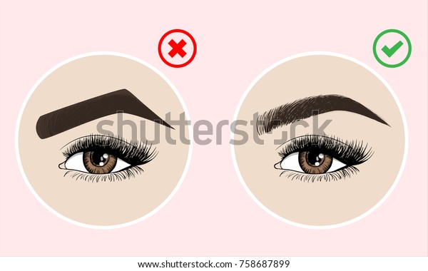 眉の色や眉の形が正しいかどうか メスの目と眉のベクター画像エレメント 眉毛の種類 ピンクの背景にベクターイラスト のベクター画像素材 ロイヤリティフリー
