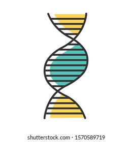 Right-handed DNA helix color icon. B-DNA. Deoxyribonucleic, nucleic acid structure. Spiral strand. Chromosome. Molecular biology. Genetic code. Genome. Genetics. Medicine. Isolated vector illustration