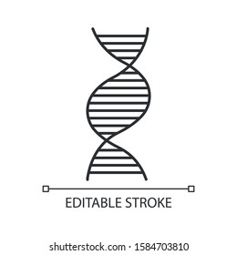 Right-handed DNA Helix Linear Icon. B-DNA. Deoxyribonucleic, Nucleic Acid. Molecular Biology. Genetics. Thin Line Illustration. Contour Symbol. Vector Isolated Outline Drawing. Editable Stroke