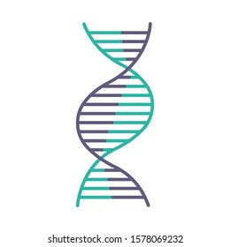 Right-handed DNA helix violet and turquoise color icon. B-DNA. Deoxyribonucleic, nucleic acid structure. Spiral strand. Chromosome. Molecular biology. Genetic code. Isolated vector illustration