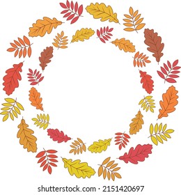 Ring of autumn leaves. Round pattern with space for text in the center.	
