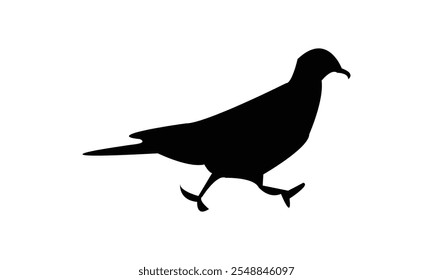 Ring Dove Silhouette Design  And Vector Illustration. 