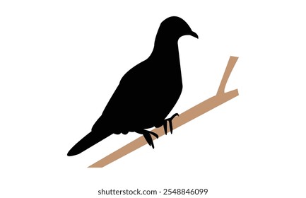 Ring Dove Silhouette Design  And Vector Illustration. 