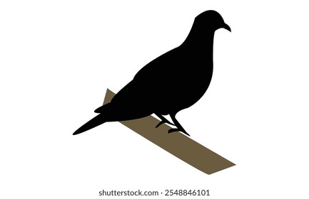 Ring Dove Silhouette Design  And Vector Illustration. 