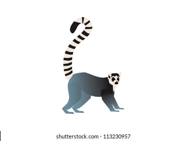 Ring Tailed Lemur