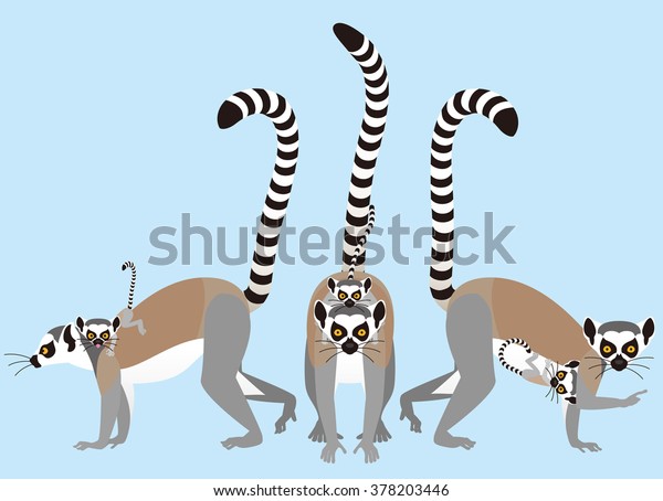 Ring Tailed Lemur Stock Vector (Royalty Free) 378203446 | Shutterstock