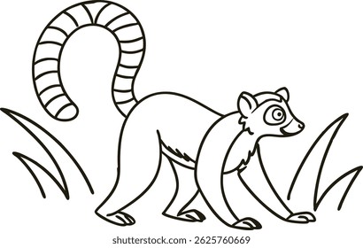 Anel de cauda Lemur contornado animal vetor ilustração Wildlife Graphic Art