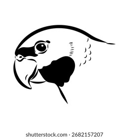 ringed parrot, vector sketch illustration