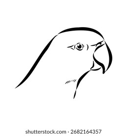 loro anillado, ilustración de boceto de Vector