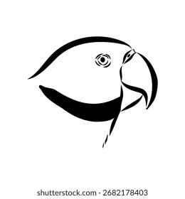 loro anillado, ilustración de boceto de Vector