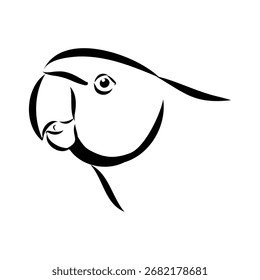 papagaio-anelado, ilustração de esboço vetorial