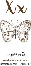 Ringed xenika butterfly, A to z, alphabet sketch australian animals drawing vector illustration. Vintage hand drawn with lettering. Letter X for Ringed xenika butterfly. ABC.