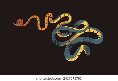 Ringneck spitting cobra, Rinkhals. Exotic poisonous snake with colored patterned scale. Wild tropical viper, deadly venomous serpent. Dangerous African swamps fauna. Flat isolated vector illustration