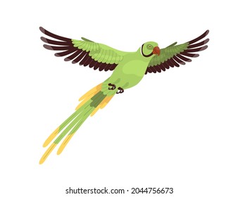 Ring-necked Parrot Flying. Tropical Indian Ringneck With Long Tail And Spread Wings. Exotic Feathered Parakeet. Jungle Bird. Realistic Flat Cartoon Vector Illustration Isolated On White Background