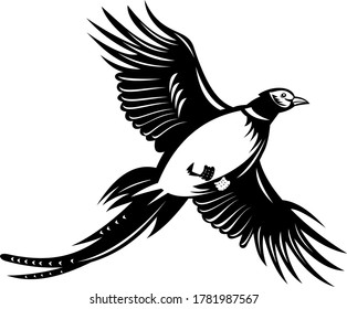 Ring-Necked Pheasant Flying Up Retro Black and White 