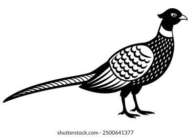 Ring-Necked Pheasant on  Vector Illustration