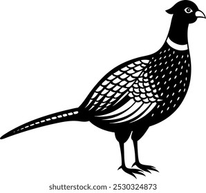 Faisão de pescoço anel na ilustração vetorial