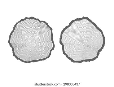rings of texture of wood. tree cut