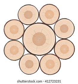 Rings of Tree. Color Vector Illustration.