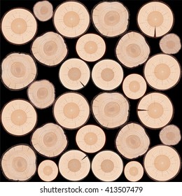 Rings of Tree. Color Vector Illustration.