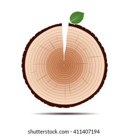 Rings of Tree and Green Leaf. Color Vector Illustration.
