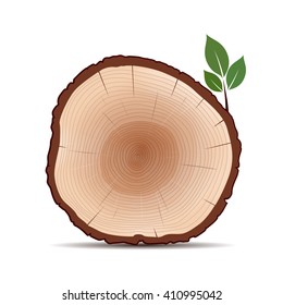 Rings of Tree and Green Leafs. Color Vector Illustration.