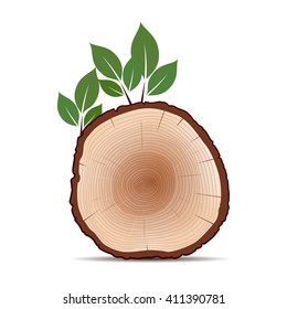 Rings of Tree and Green Leafs. Color Vector Illustration.