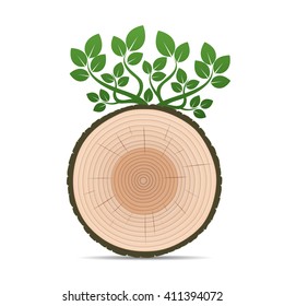Rings of Tree and Green Leafs. Color Vector Illustration.