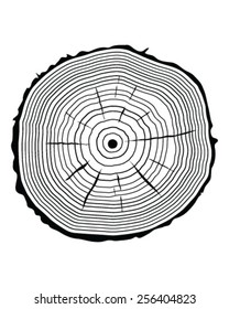 rings of tree, vector illustration