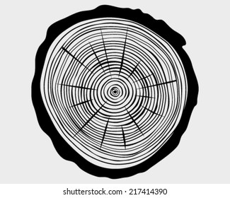 Rings of trunk 2, vector illustration