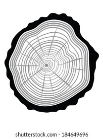 Rings of trunk, vector illustration
