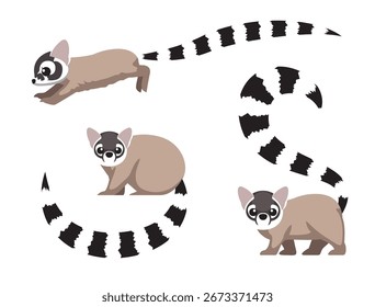 Ringtail Cartoon Poses Character Vector