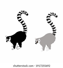 Ring-tailed lemur. Isolated wild ape with long striped tail. Cute primate mammal cartoon character icon. Vector wildlife exotic ring-tailed lemur monkey animal