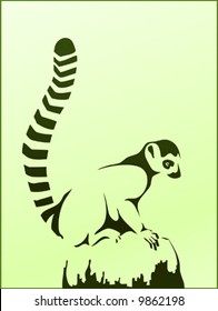 Ring-tailed lemur (or lemur catta) sitting on a rock
