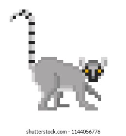 Ring-tailed lemur, pixel art character isolated on white background. Zoo mascot. Exotic wildlife animal. African safari primate. Old school retro vintage 80s,90s 8 bit slot machine/video game graphics