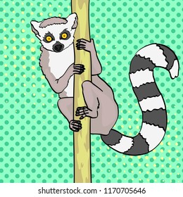 ring-tailed lemur. Pop art background. An animal cats lemur on a branch of bamboo, wood. Vector illustration