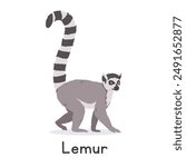 Ring-tailed lemur vector illustration, cartoon clipart character, animal in flat style. Wild animals, wild creatures, wildlife concept. Lemur vector design isolated on white background