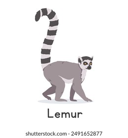 Ring-tailed lemur vector illustration, cartoon clipart character, animal in flat style. Wild animals, wild creatures, wildlife concept. Lemur vector design isolated on white background