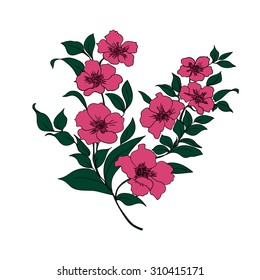 Rink twig sakura blossoms. Vector illustration. Black outline and Color Silhouette is on a white background