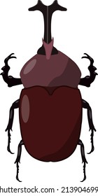 Escarabajo de rinoceros, ilustración, vector sobre fondo blanco.
