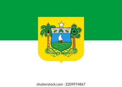 Rio Grande do Norte Flag, state of Brazil. Vector Illustration.