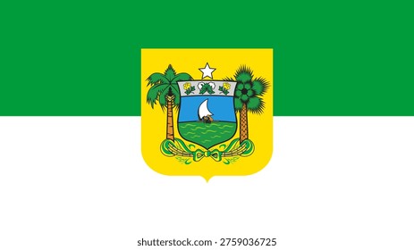 Rio Grande do Norte State Flag Vector Illustration Graphic