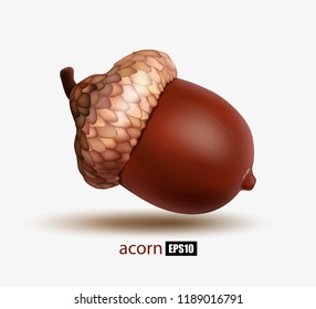 Ripe acorn isolated on white background, realistic acorn, oak, autumn fruit, symbol of autumn. 3d illustrator illustration. EPS10