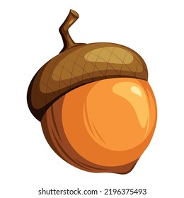 Ripe acornin the shell, acorn, oak nut, oak, autumn fruit, symbol of autumn. Vector illustration of oak seeds.
