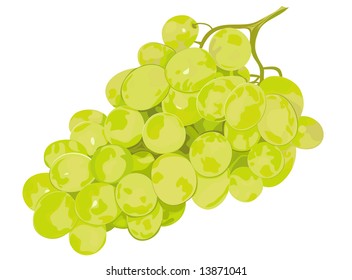 Ripe, appetizing grapes. Mature fruit.